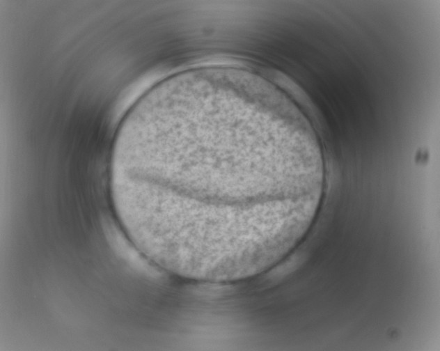 X0000113950860200910161938