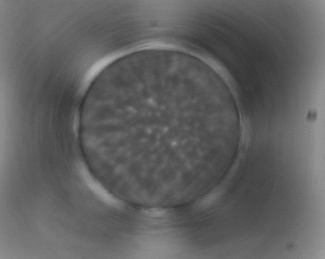 X0000113950862200910161938