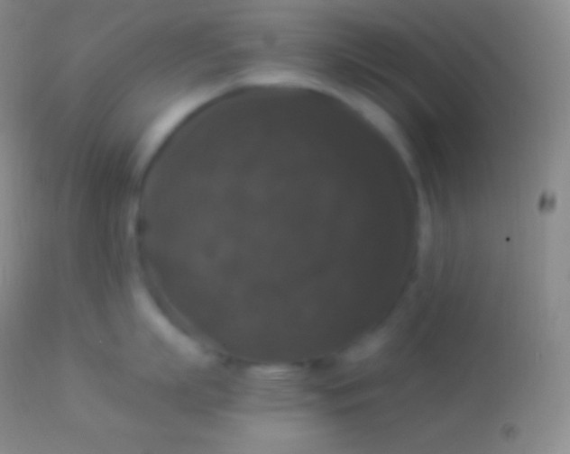X0000113950863200910161938