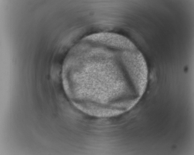 X0000113950867200910161937