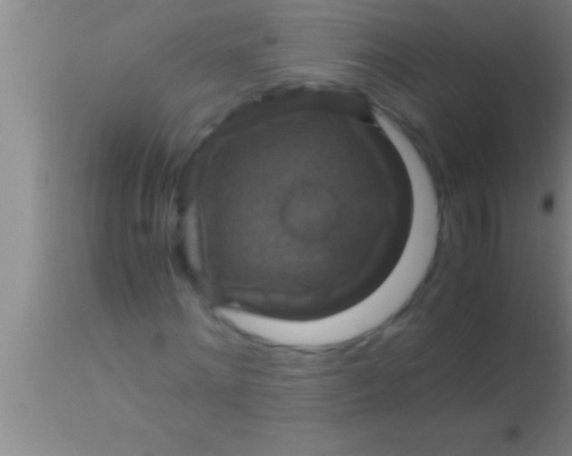 X0000113950868200910161937