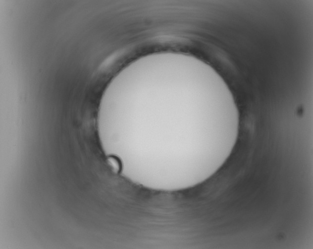X0000113950869200910161937