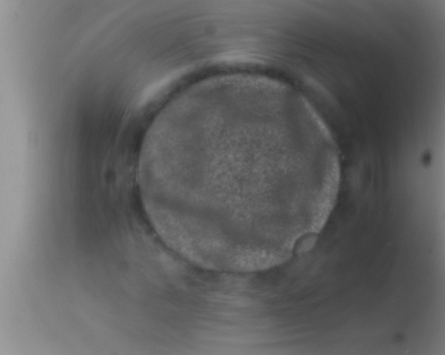 X0000113950870200910161937