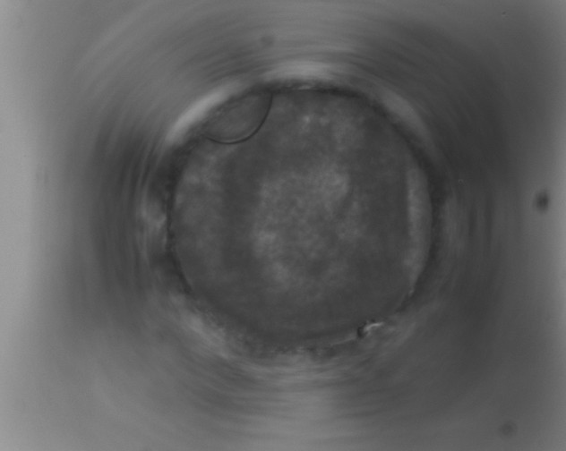 X0000113950872200910161937
