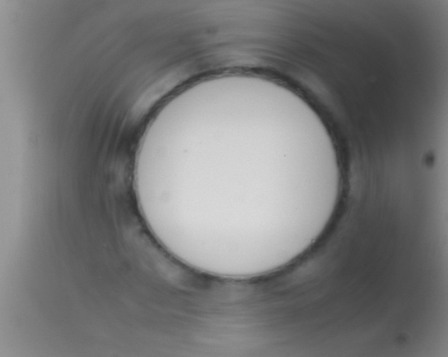 X0000113950873200910161937