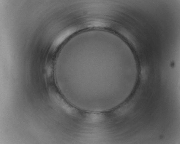 X0000113950874200910161937