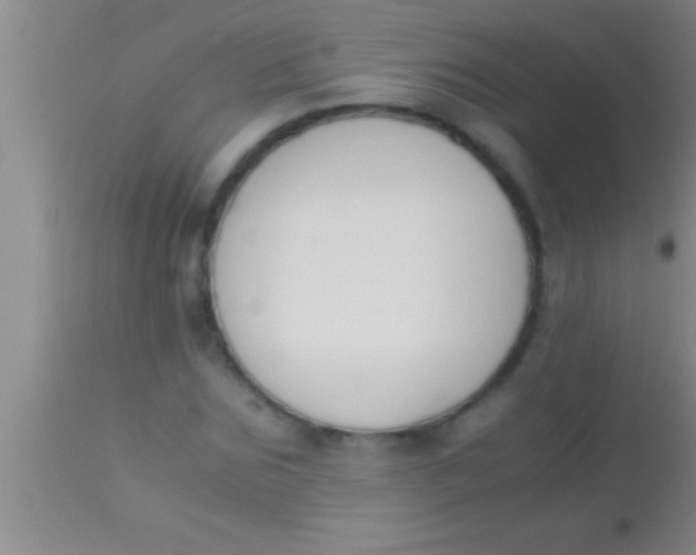 X0000113950875200910161937