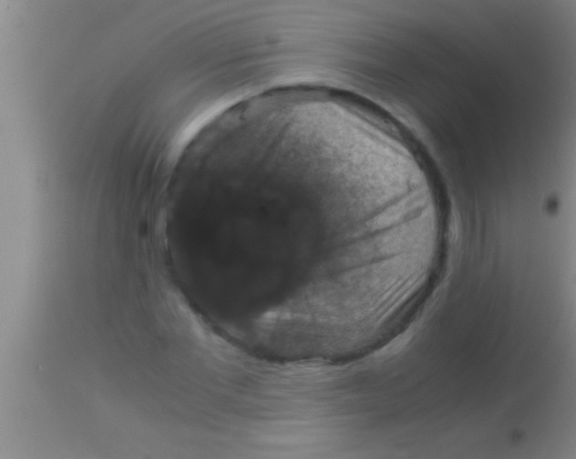 X0000113950877200910161937