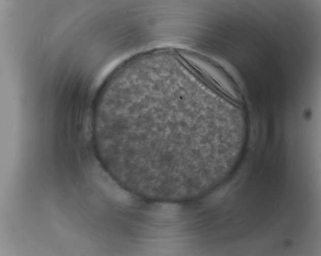X0000113950878200910161937