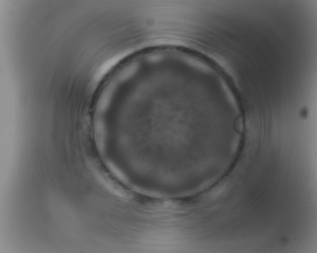X0000113950879200910161937
