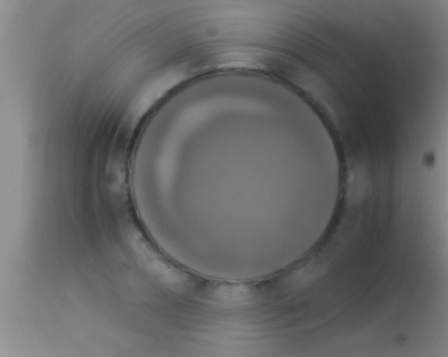 X0000113950882200910161937