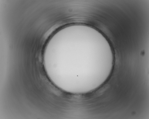 X0000113950883200910161937