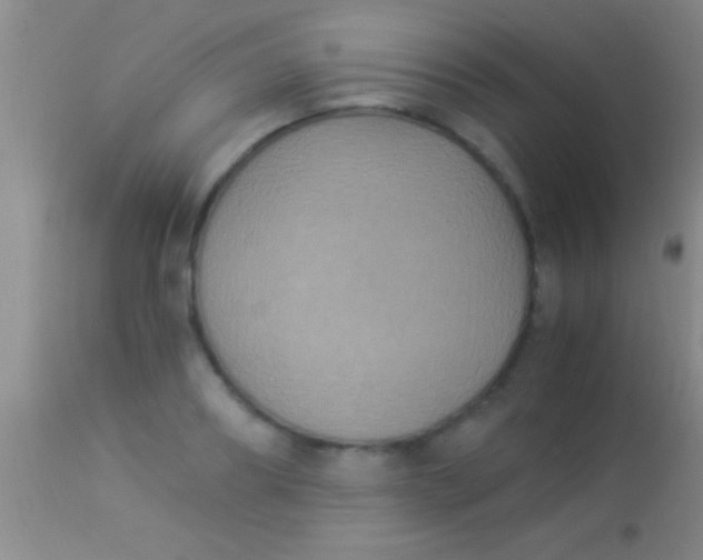 X0000113950890200910161937