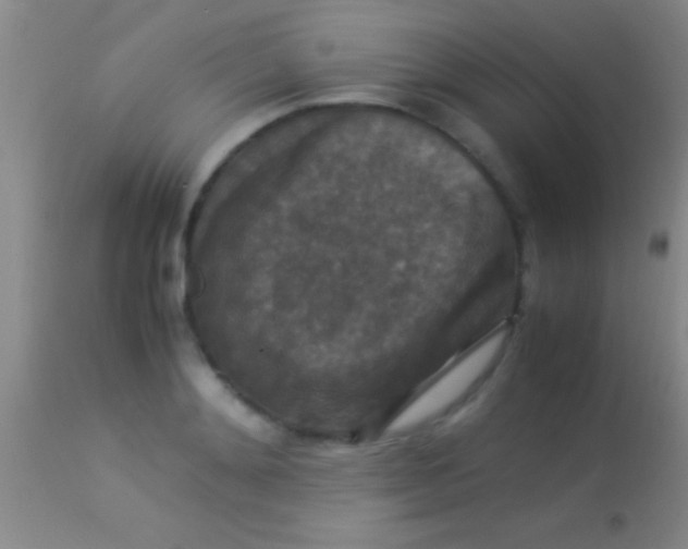 X0000113950892200910161937