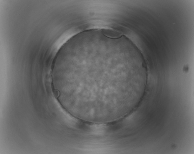 X0000113950893200910161937