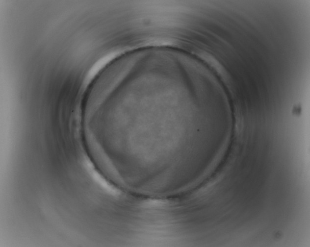 X0000113950894200910161937