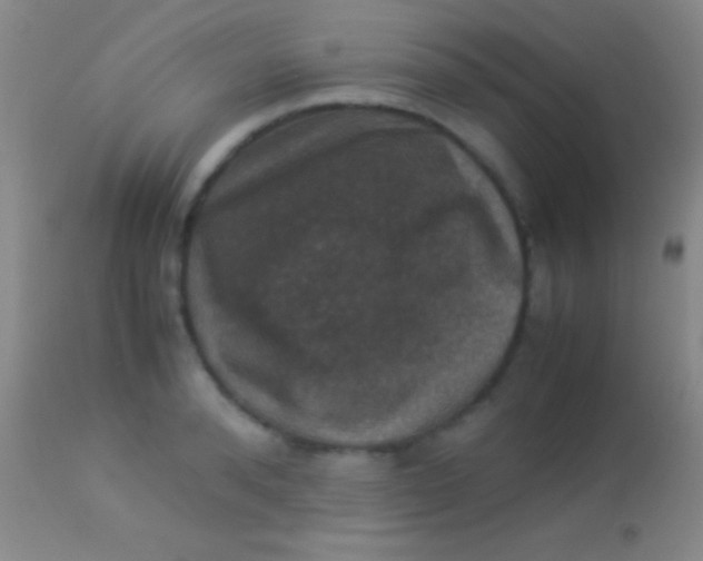 X0000113950896200910161937