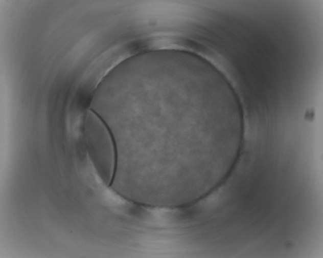 X0000113950897200910161937
