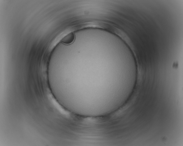 X0000113950898200910161937