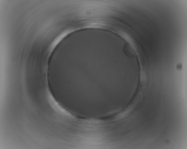 X0000113950899200910161937