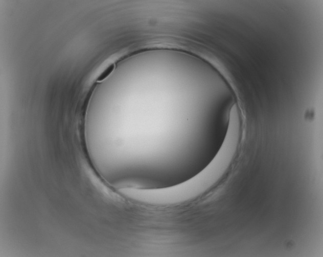 X0000113950901200910161937