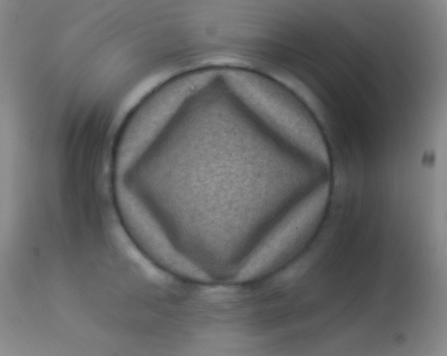 X0000113950902200910161936