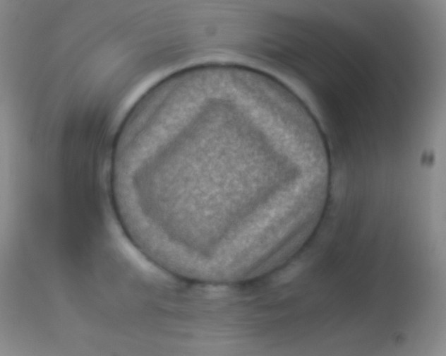 X0000113950903200910161936