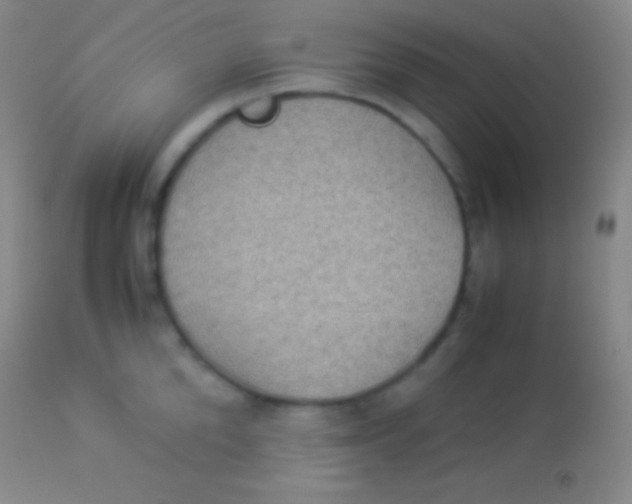 X0000113950904200910161936
