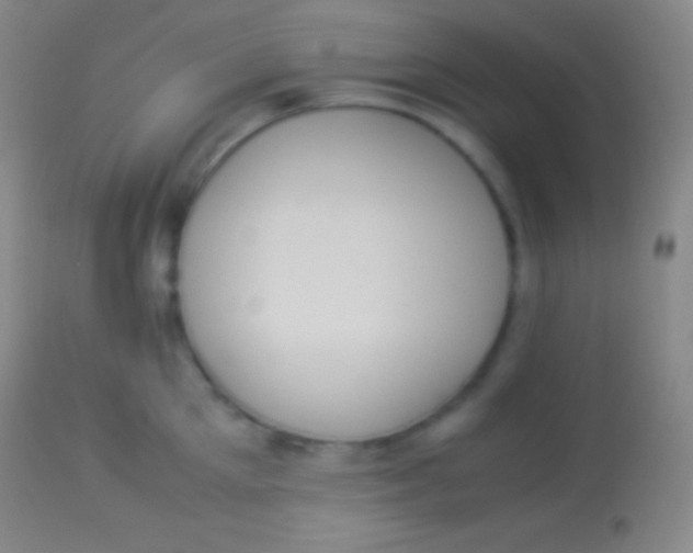 X0000113950905200910161936