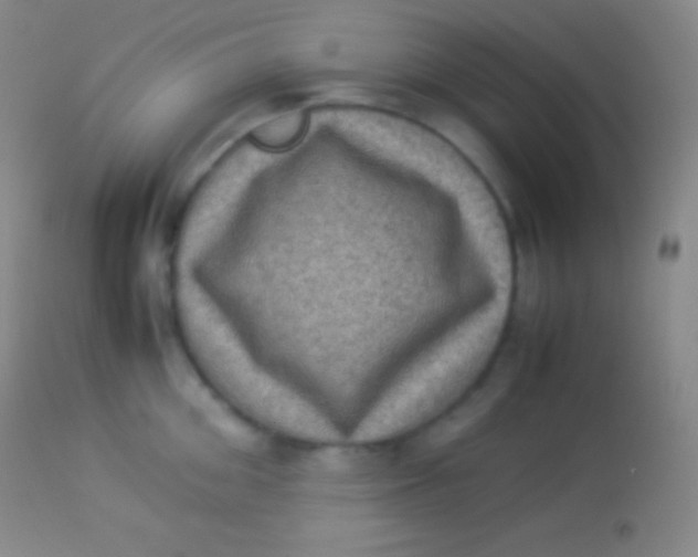 X0000113950906200910161936