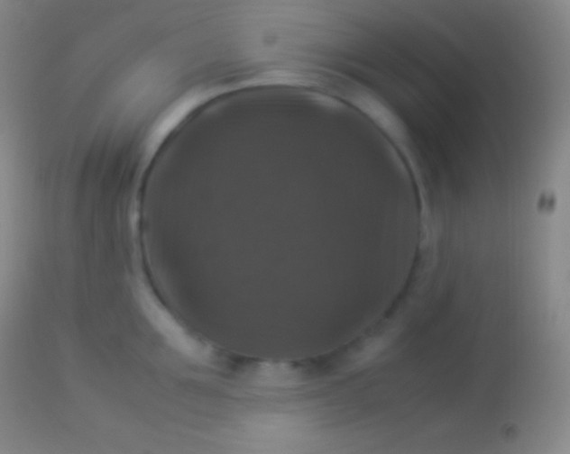 X0000113950907200910161936