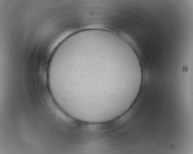 X0000113950908200910161936