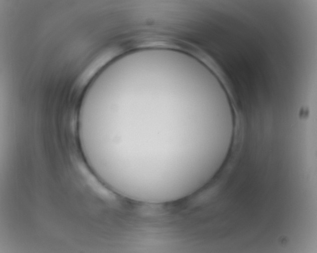 X0000113950909200910161936