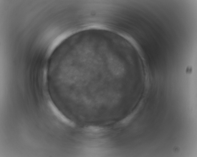 X0000113950910200910161936