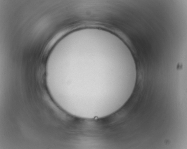 X0000113950911200910161936