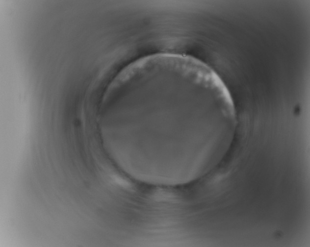 X0000113950913200910161936
