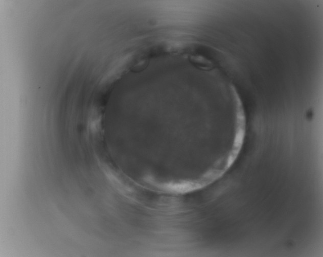 X0000113950914200910161936