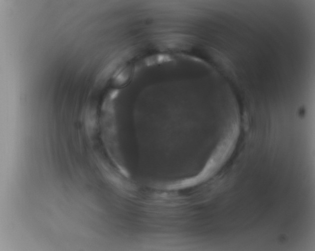 X0000113950915200910161936
