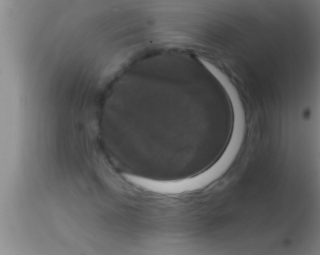 X0000113950916200910161936