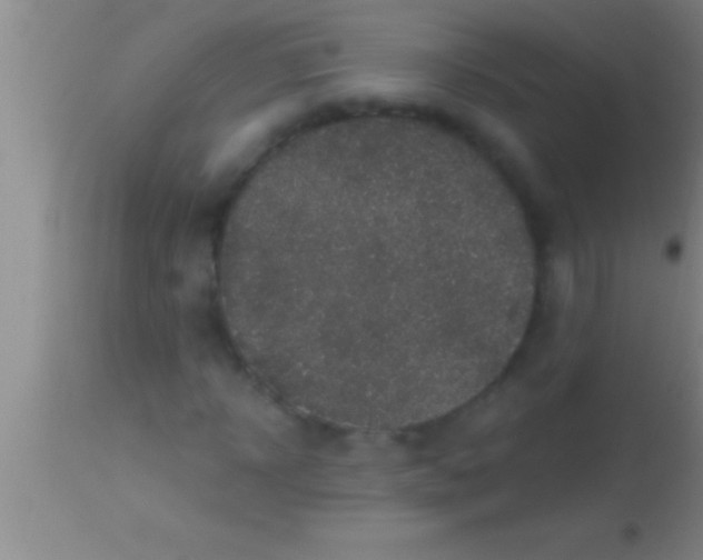 X0000113950918200910161936