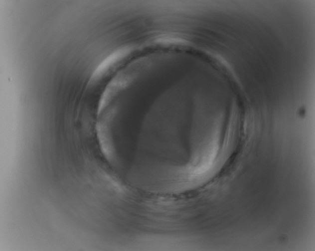 X0000113950919200910161936