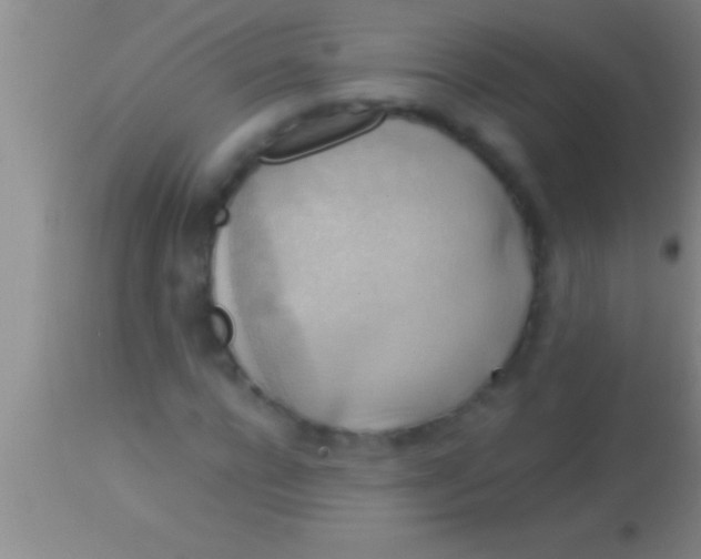 X0000113950920200910161936