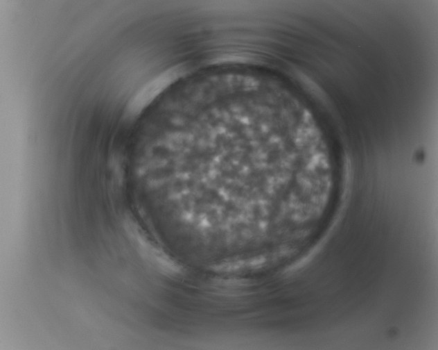X0000113950921200910161936