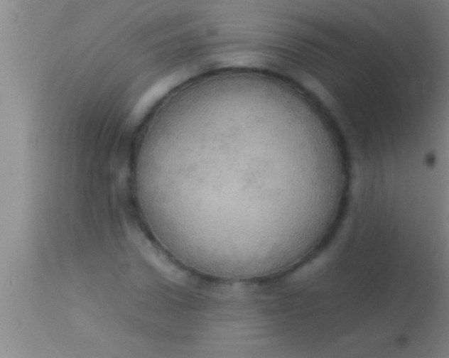 X0000113950922200910161936