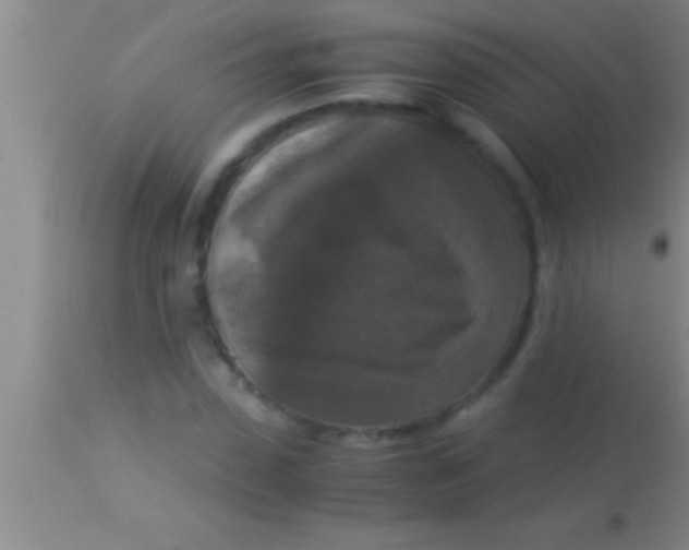 X0000113950923200910161936