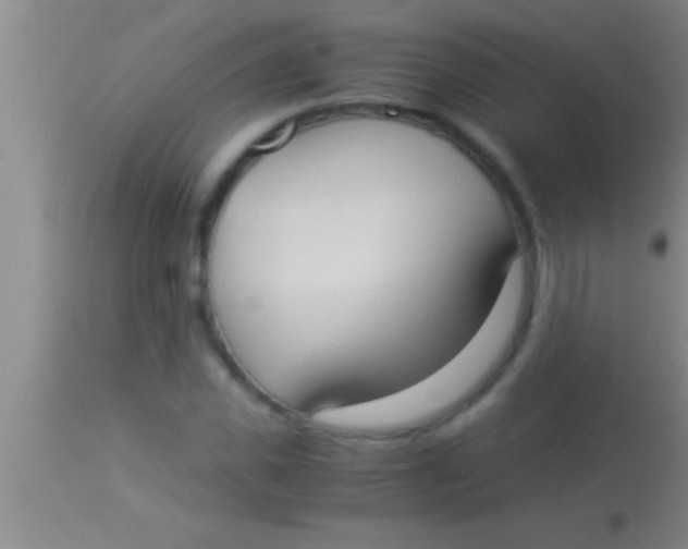X0000113950925200910161936