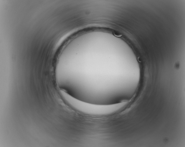 X0000113950926200910161936