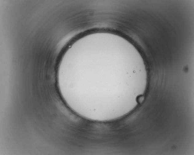 X0000113950927200910161936