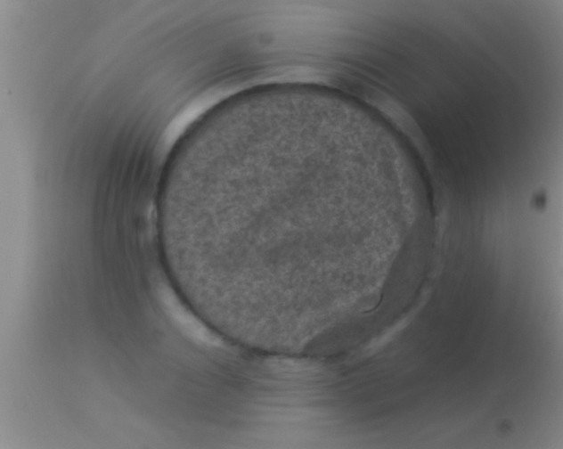 X0000113950928200910161936