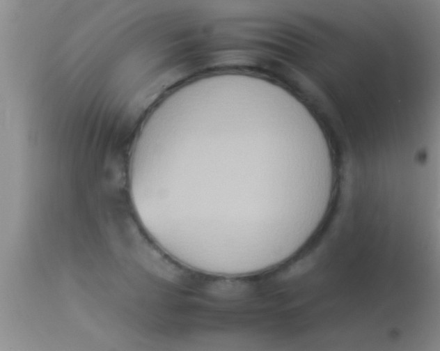 X0000113950929200910161936